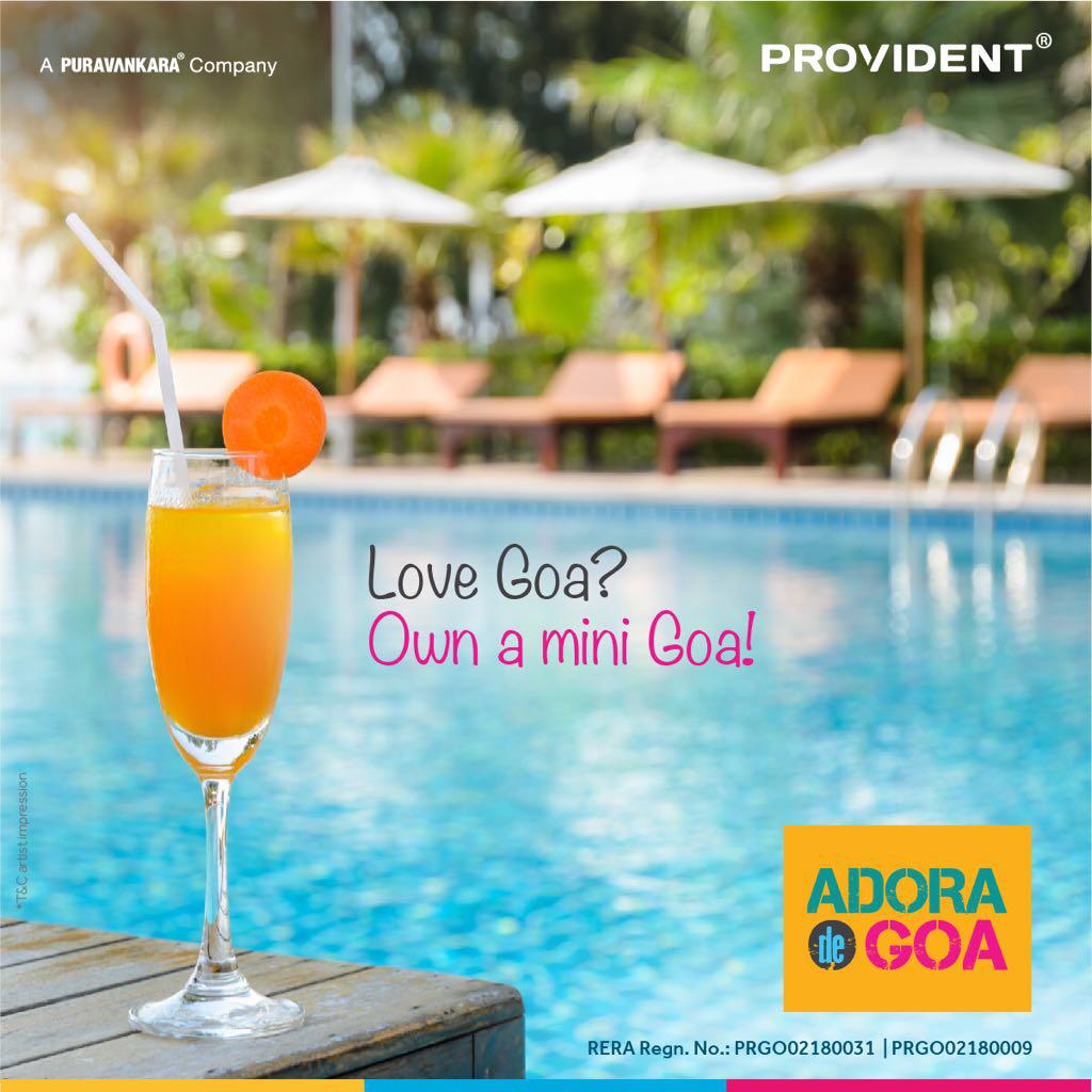 Switch to Luxury by Owning a Mini Goa Update